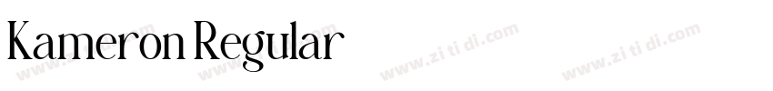 Kameron Regular字体转换